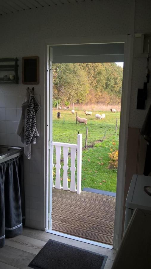 Onstwedde Pipowagen Elsebein Groningen Westerwolde Unieke Ligging Met Eigen Tuin En Vrij Uitzicht Over Veld Naar Natuurgebied المظهر الخارجي الصورة