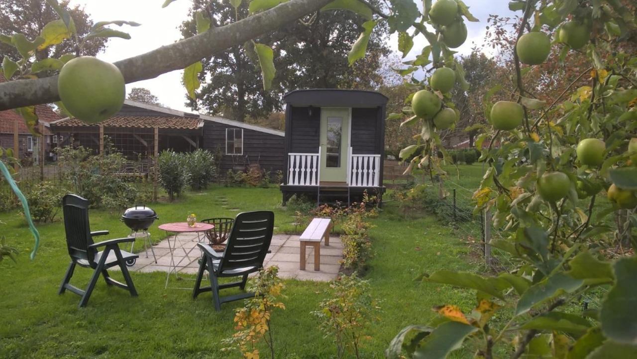 Onstwedde Pipowagen Elsebein Groningen Westerwolde Unieke Ligging Met Eigen Tuin En Vrij Uitzicht Over Veld Naar Natuurgebied المظهر الخارجي الصورة