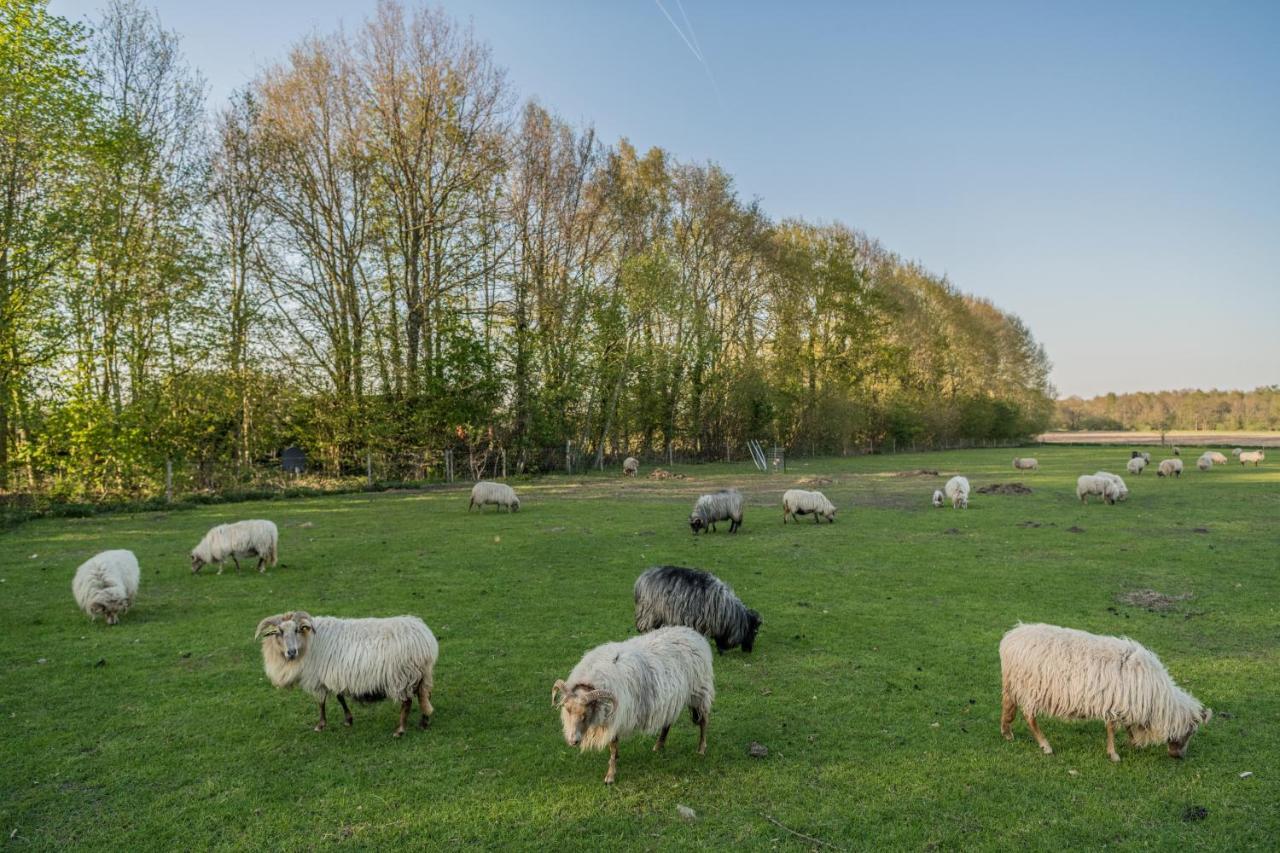 Onstwedde Pipowagen Elsebein Groningen Westerwolde Unieke Ligging Met Eigen Tuin En Vrij Uitzicht Over Veld Naar Natuurgebied المظهر الخارجي الصورة